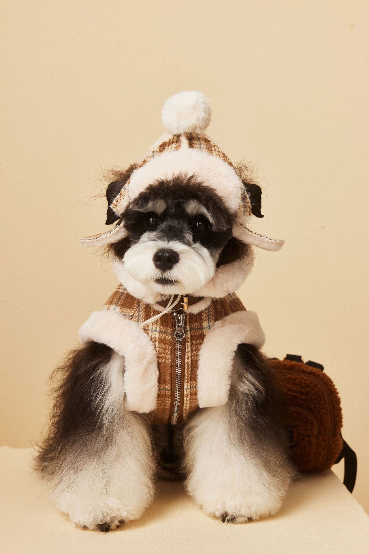 Dog Clothes Coat, Autumn and Winter Padded and Thickened Sleeveless Plaid Waistcoat and hat, Suitable for chenari, Teddy, Bichon, Small and Medium-Sized Dogs